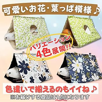 Amazon.co.jp: Leap Raupe バードテント 鳥の巣 夏 ホワイト 花